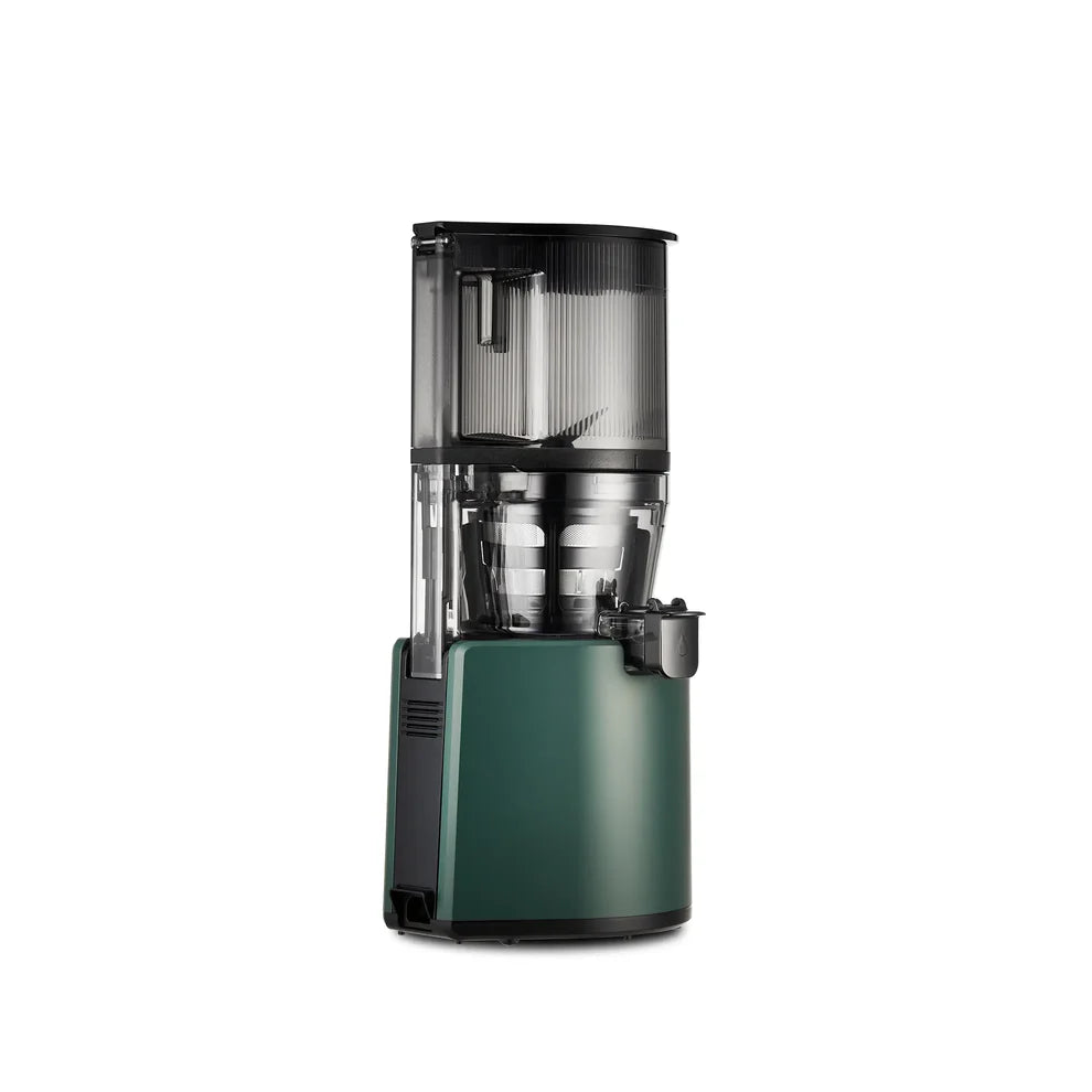 Hurom Slow Juicer H320N – frozencherries